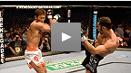 Mike Swick vs Yushin Okami UFC&reg; 69