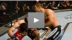 Dan Henderson vs Rousimar Palhares UFC&reg; 88