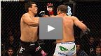 Lyoto Machida vs. Mauricio Rua UFC&reg; 113