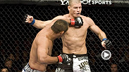 Dan Henderson vs. Michael Bisping UFC&reg; 100