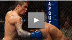 TUF 13 Finale: Bantamweight Battles