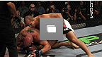 Galerie photos de l'UFC&reg; 131