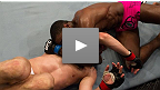 Coup d'oeil sur l'UFC 133