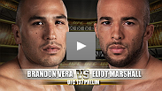 UFC&reg; 137 Prelim Fight: Brandon Vera vs Eliot Marshall