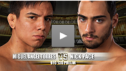 UFC&reg; 139 Prelim Fight: Miquel Torres vs. Nick Pace
