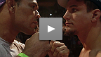 UFC 140: Frank Mir vs. Minotauro Nogueira