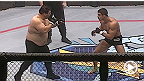Pelea Gratis: Vitor Belfort vs. Scott Ferrozzo