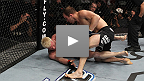 Brian Ebersole vs. Dennis Hallman UFC&reg; 133