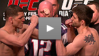 UFC 143 Pesaje