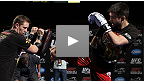 UFC 143: 公開練習