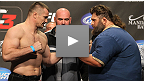 Pelea Gratis: Roy Nelson vs. Mirko Cro Cop