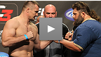 Luta gratuita: Roy 'Big Country' Nelson vs. Mirko Cro Cop