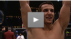 Finalizacao da Semana: Mir vs. Traven