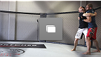 UFC&reg; 149 오픈 워크아웃 포토 갤러리 (Open Workouts Photo Gallery)