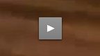 STRIKEFORCE: Episodio 2 - All Access: Ronda Rousey