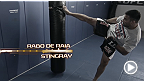 Fabricio Werdum: Signature Moves