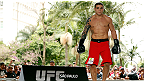 UFC on FX 7: ダニエル・サラフィアンのデビュー