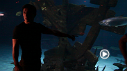 UFC flyweight Joseph Benavidez tours the Shark Reef at Mandalay Bay.