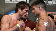 Steel-jawed middleweight contenders Chael Sonnen and Brian Stann went head-to-head in this UFC 136 bout that would send one man further up the ranks of the Anderson Silva-run division.