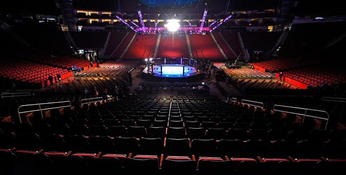 Zahabi brings unique experience to UFC debut