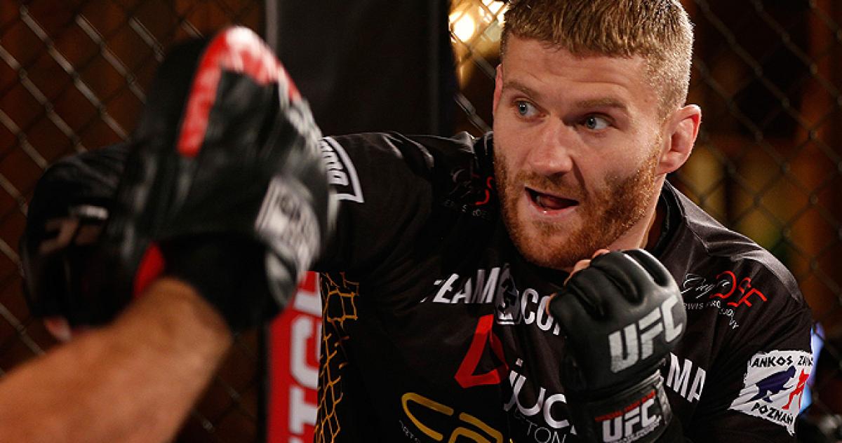 By The Numbers - Fight Night Hamburg