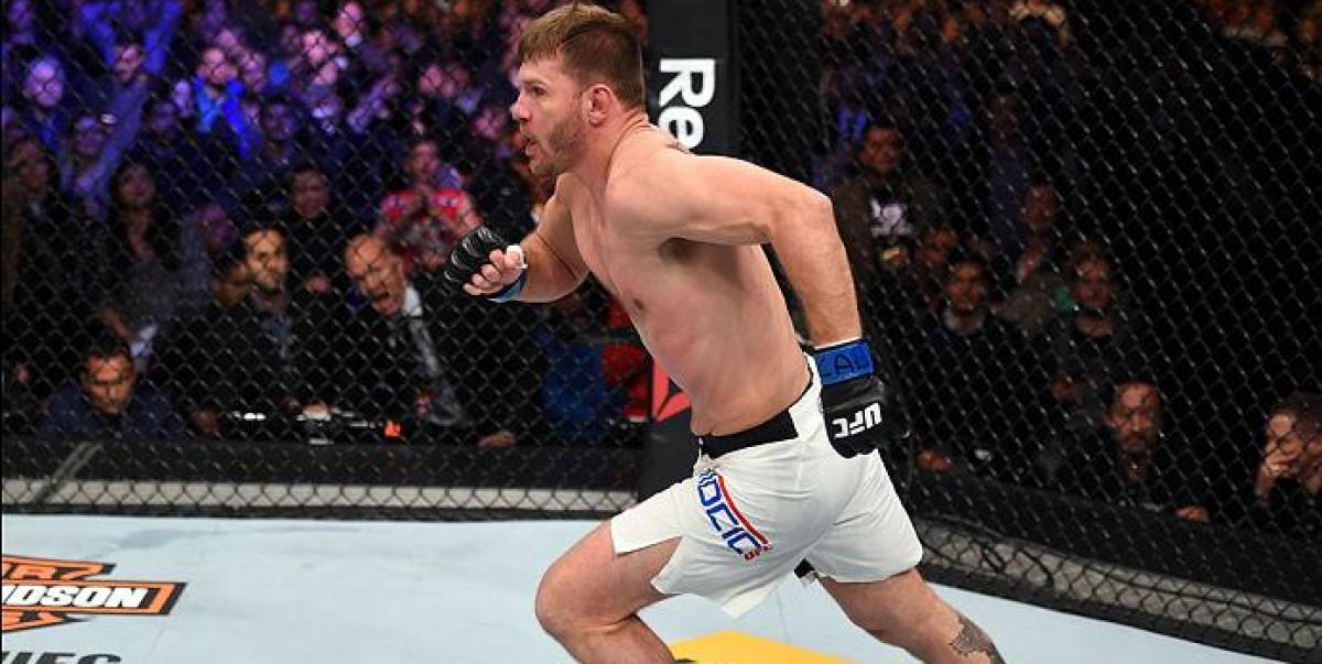 By The Numbers - UFC 203