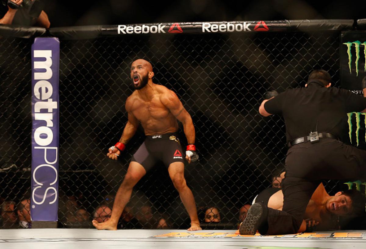 By the Numbers - The TUF 24 Finale