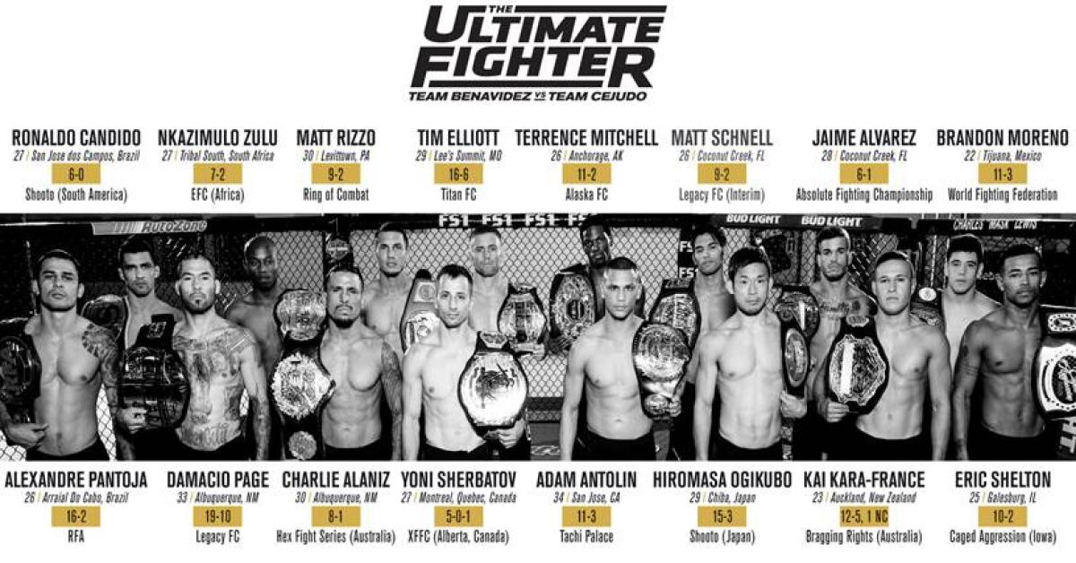 Cast revealed for The Ultimate Fighter 24