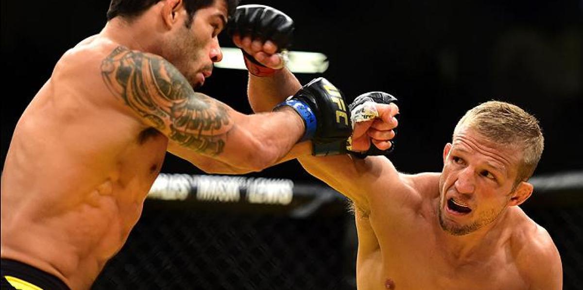 Dillashaw vs Lineker Set for UFC 207