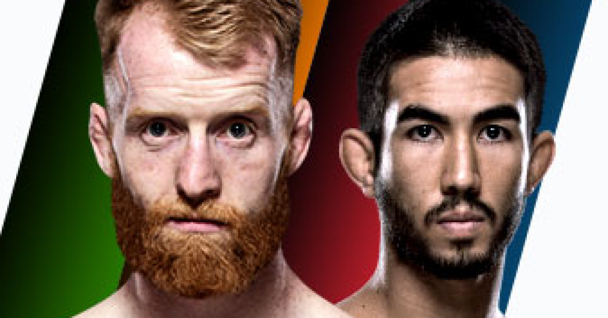 Fight Night Dublin 2015 Fantasy Preview