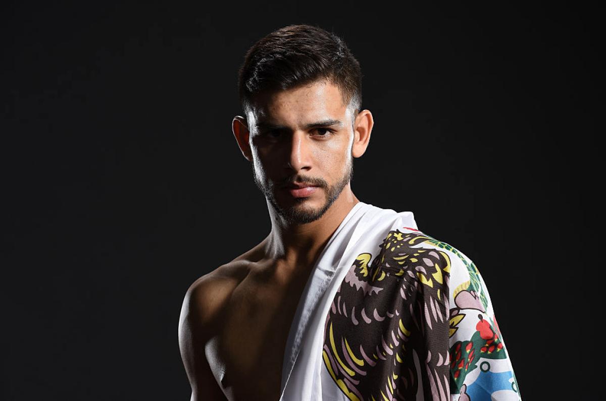 Fight Night Phoenix Fantasy Cheat Sheet