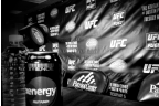 UFC on FUEL Post-Fight Presser Recap