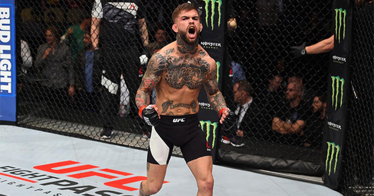 Fight Night Las Vegas: Reasons to Watch