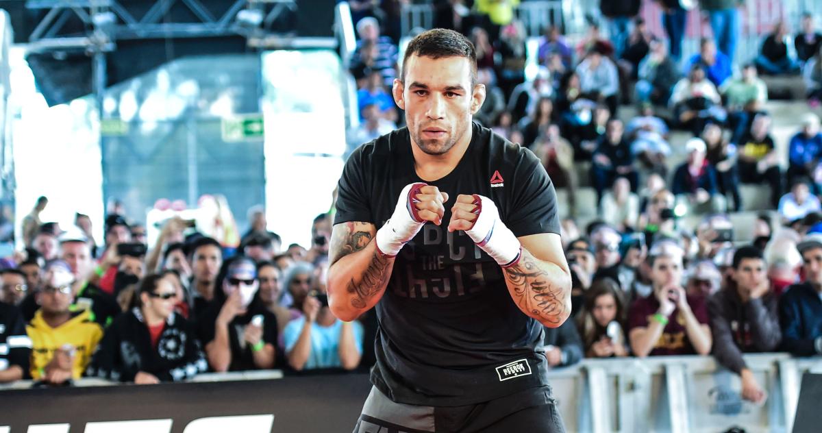 Werdum returns against Rothwell at UFC 203