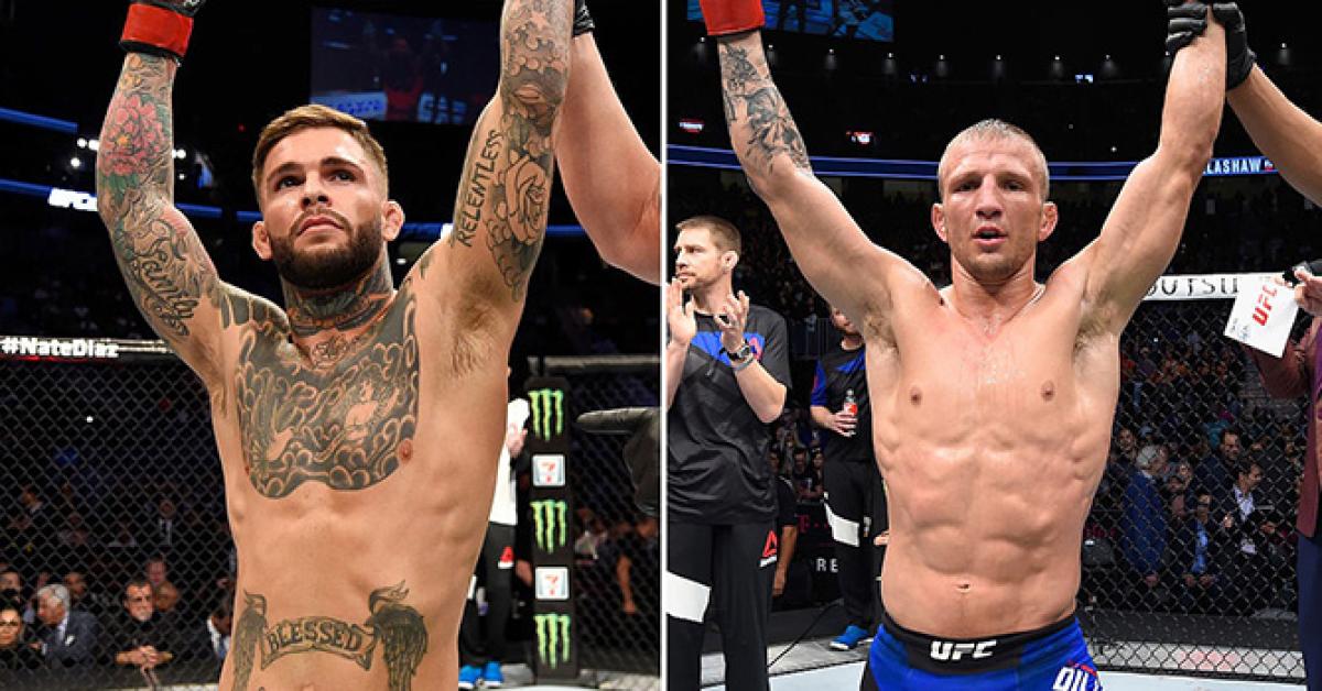 Garbrandt-Dillashaw promises to be intriguing feud