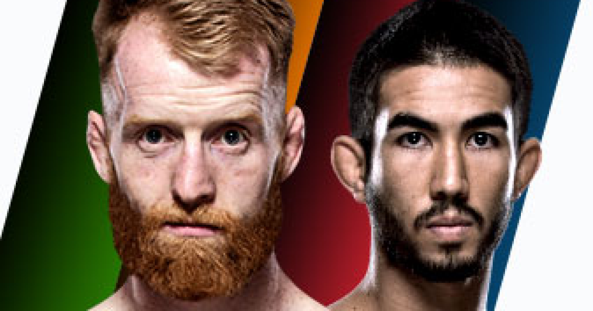 How to Watch UFC Fight Night: Holohan vs. Smolka
