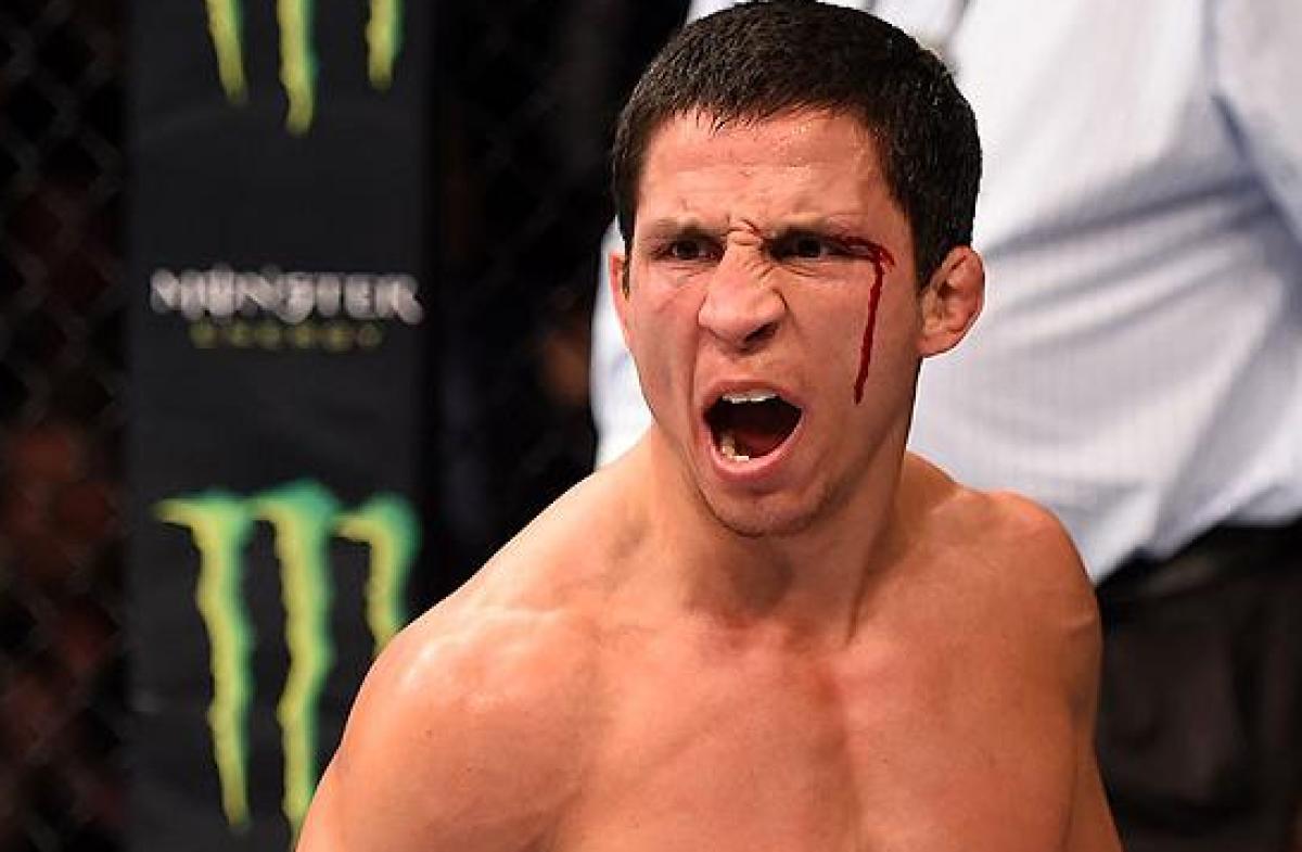 Joseph Benavidez' Magnificent Obsessions UFC ® News