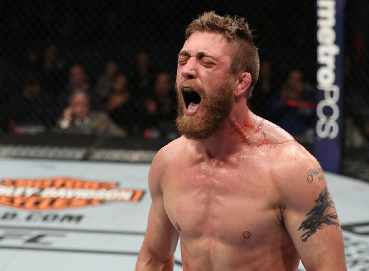 On the Rise: Halifax Edition