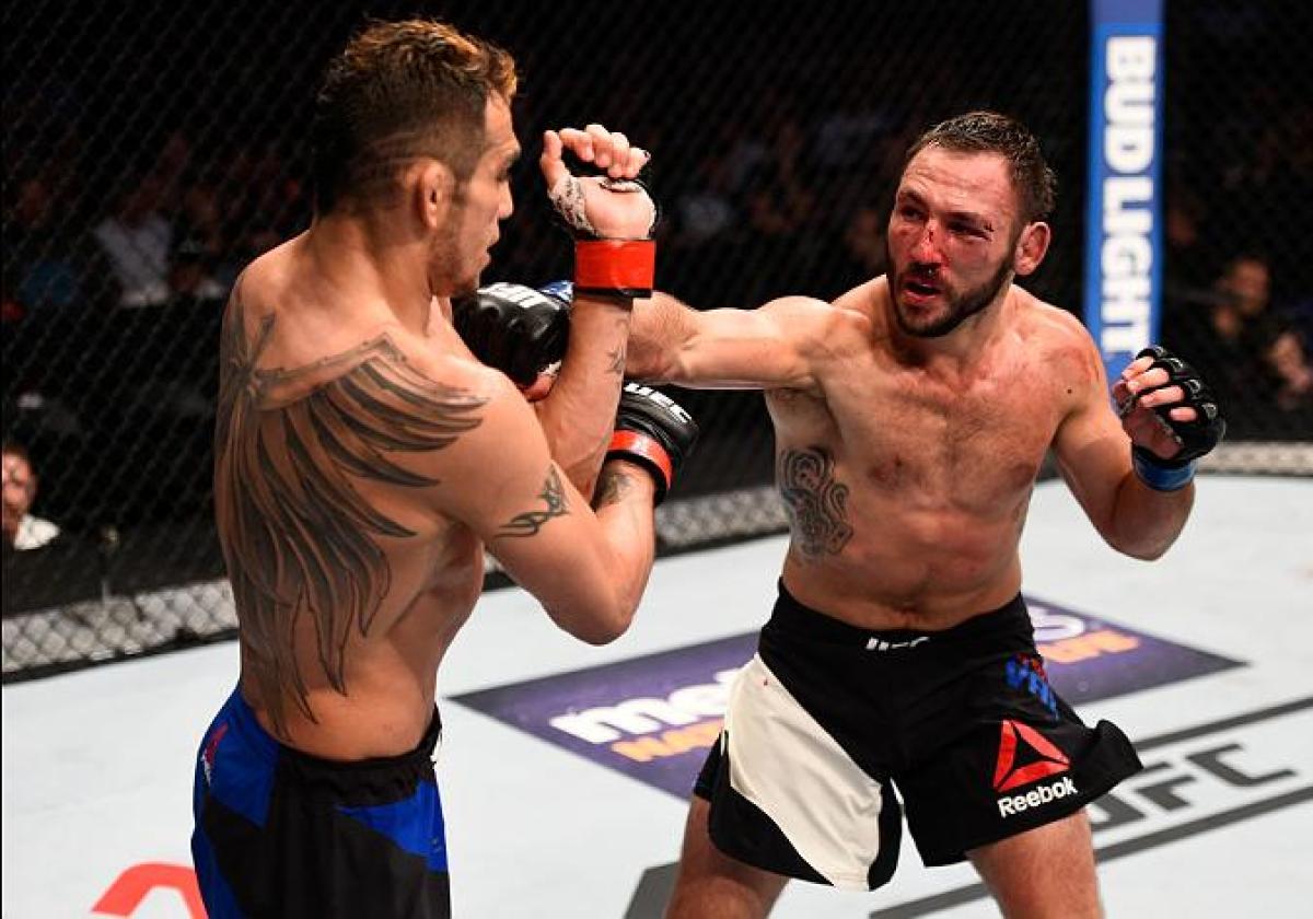 On the Rise: UFC 206 Edition