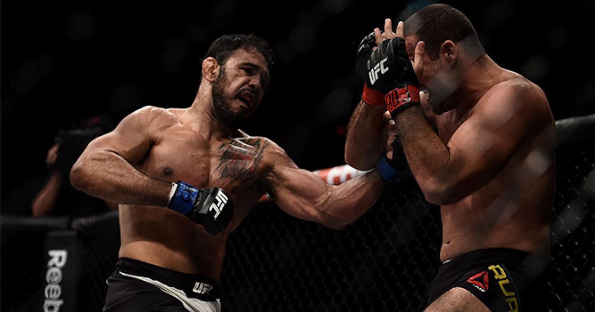 'Little Nog' going for KO after tough last loss