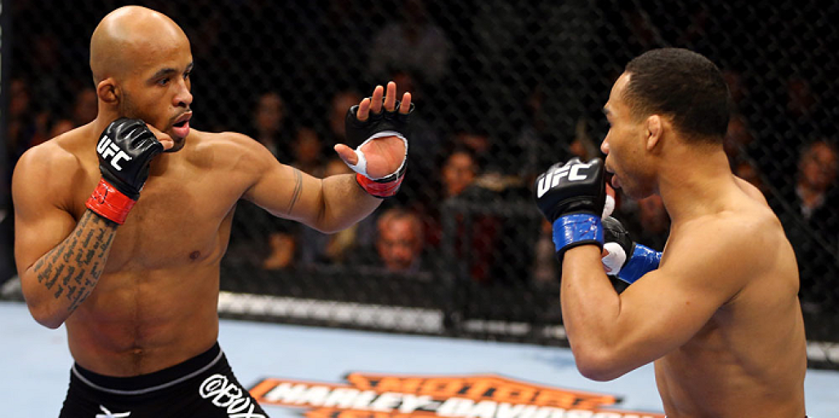 The Flyweight Division Heats Up