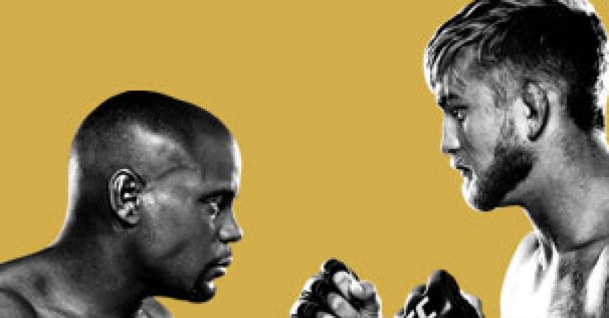 UFC 192: By The Numbers