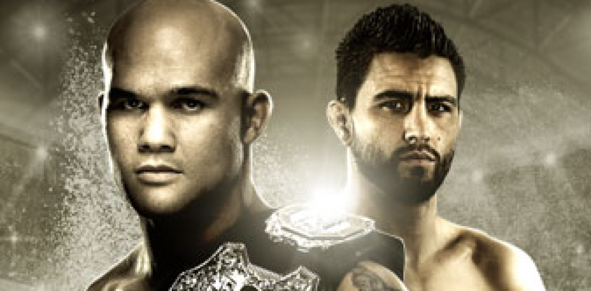 UFC 195: By The Numbers
