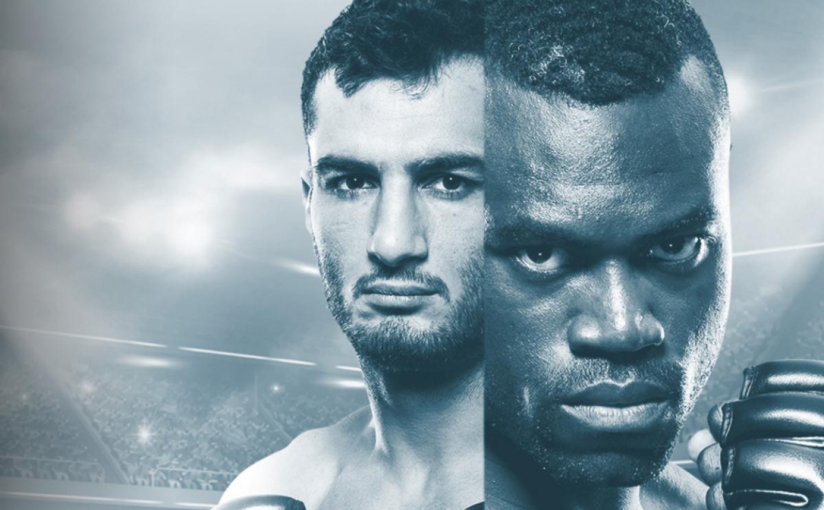 UFC Belfast - Fight by Fight