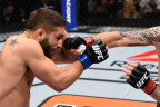 Ultimate Fighter Finale final results