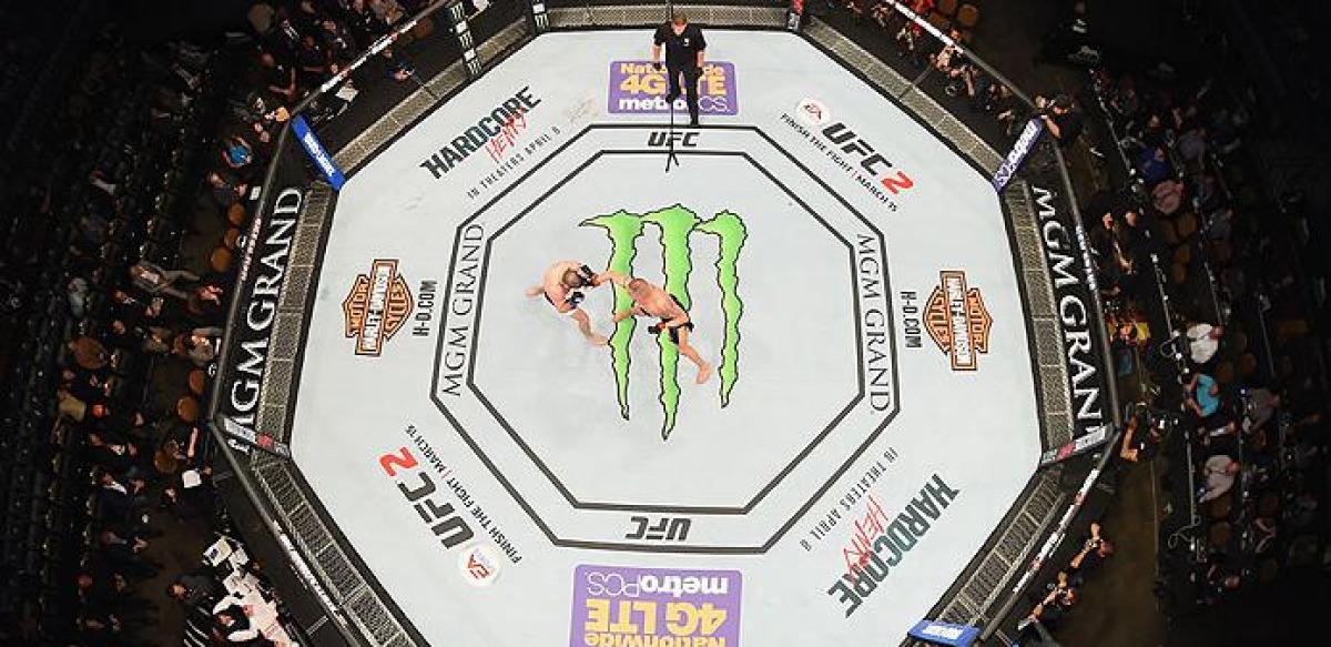 Big opportunities ahead after wild UFC 196 results