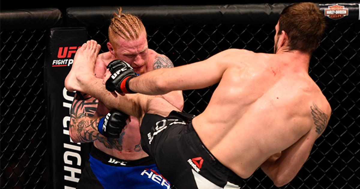 Krylov, Hamilton hit big KO's in 201 prelims