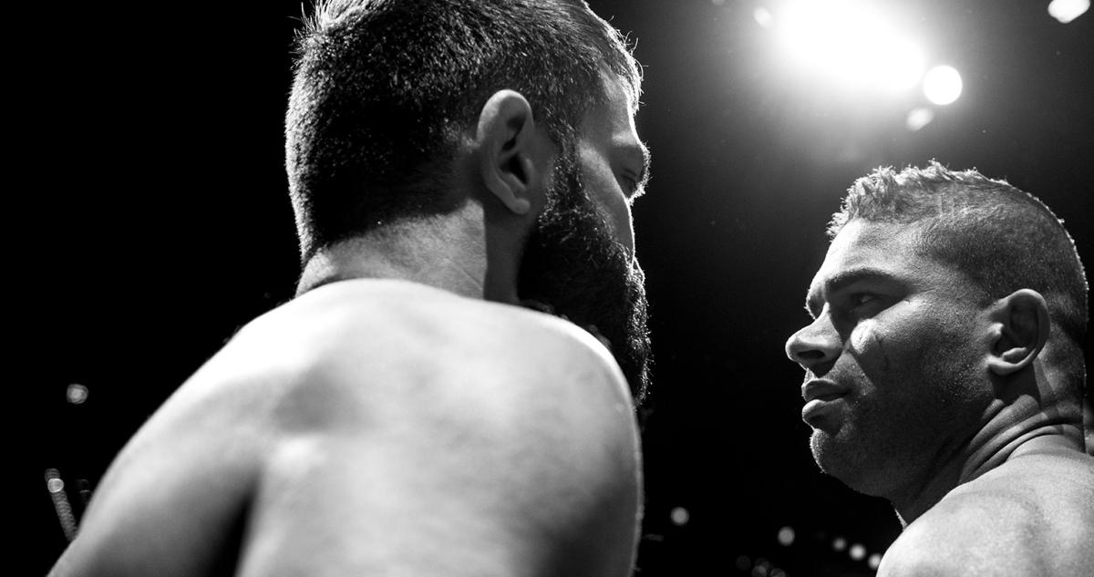 Fight Night Rotterdam results