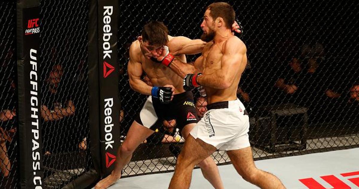 Fight Night Zagreb postfight bonus recap