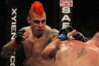Brandao, Barboza, Miller und Hardy legen bei UFC 146 vor